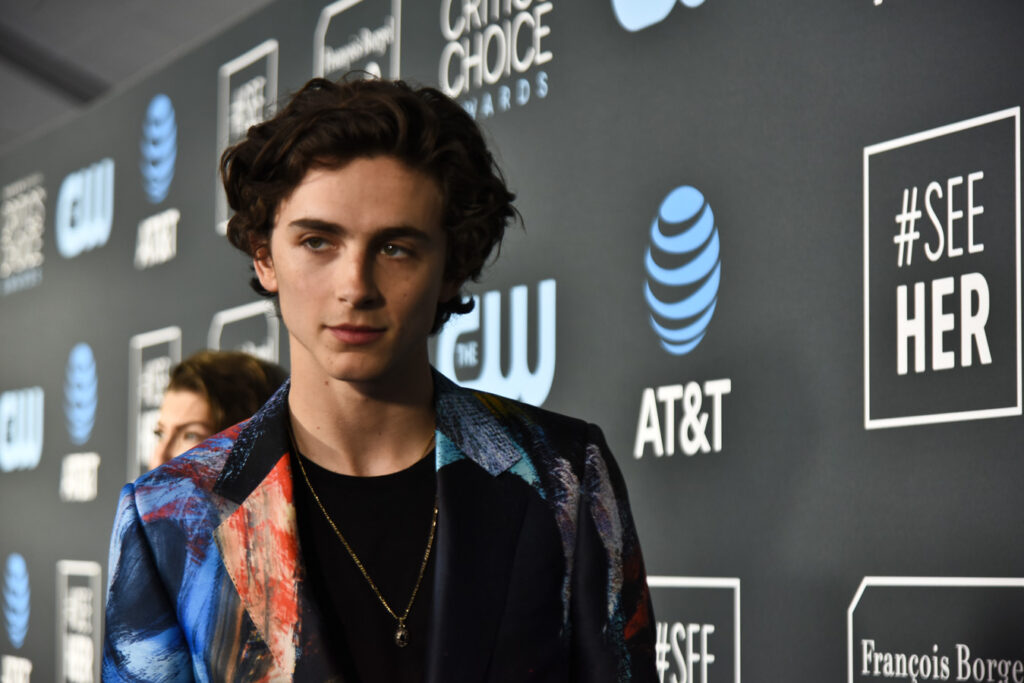 TIMOTHEE CHALAMET 2 Francois Borgel Critics Choice