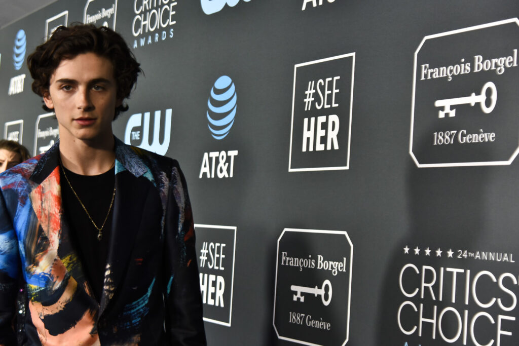 TIMOTHEE CHALAMET Francois Borgel Critics Choice